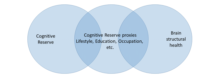 cognitive reserve brain