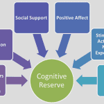 cognitive reserve buffer brain decline