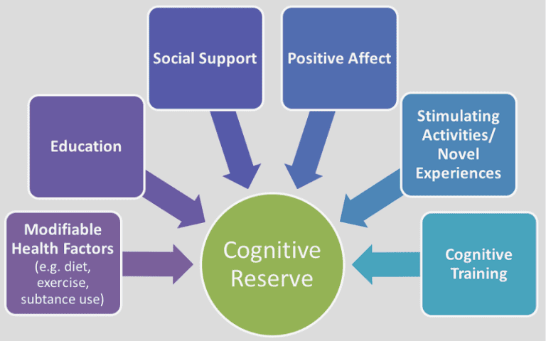 cognitive reserve buffer brain decline