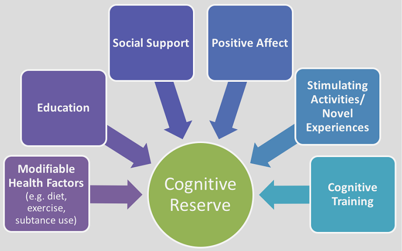 cognitive reserve buffer brain decline