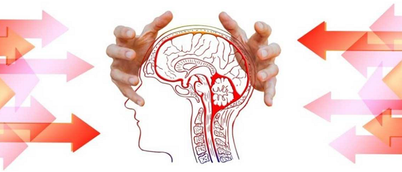 cortisol and learning