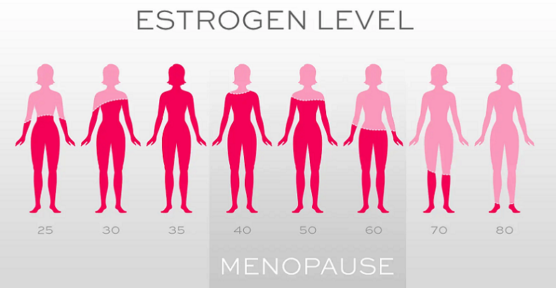 estrogen cognitive effects