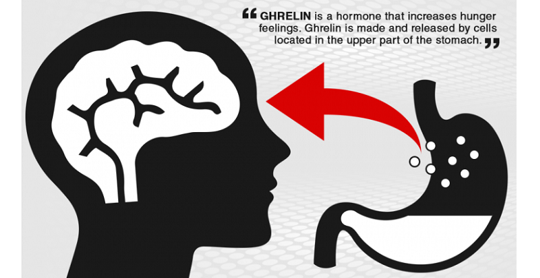 hunger hormone ghrelin