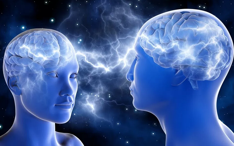 mirror neurons for empathy learning
