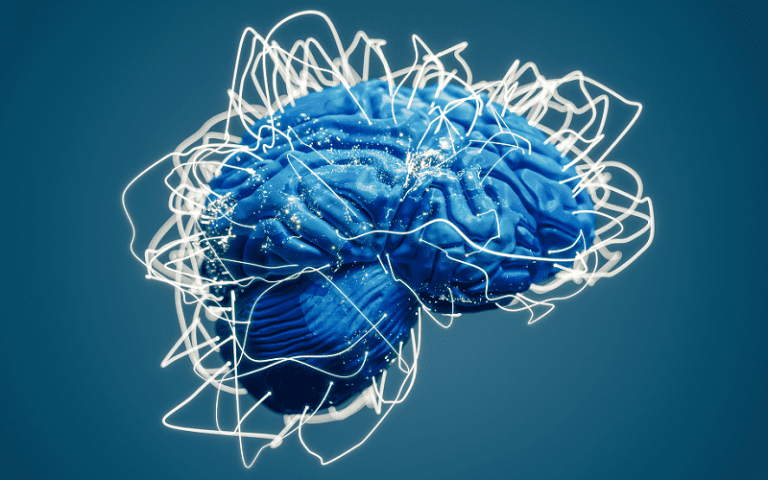 nucleus basalis of meynert nbm hub