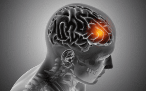 serotonin brain health connection hormone