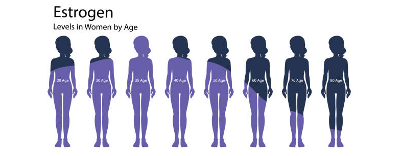 bhrt role weight loss