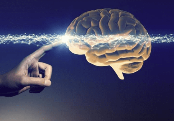bromantane cognition testosterone adhd