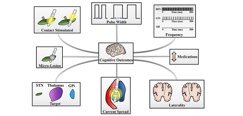 emdr neuroscience