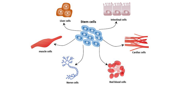 epigenetics intro