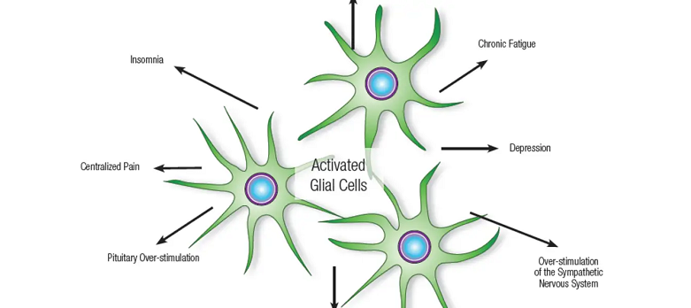 glial cell dysfunction