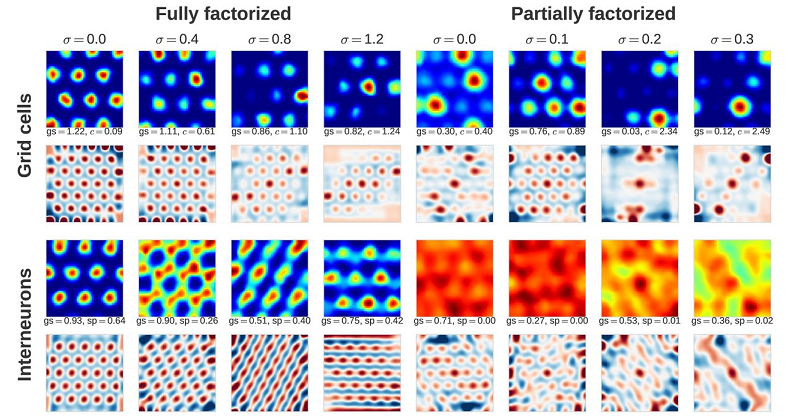 place cells navigation