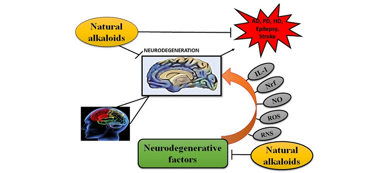 vinpocetine nootropic