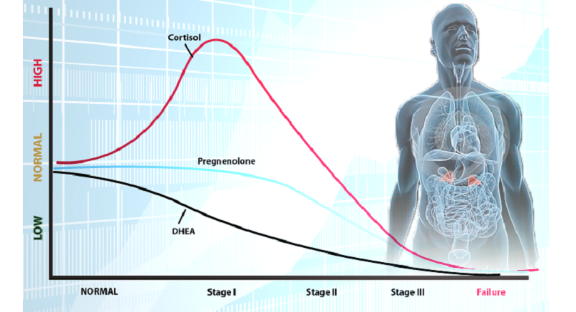 age-related dhea decline