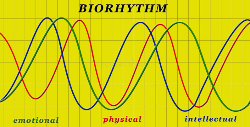 biorhythm science