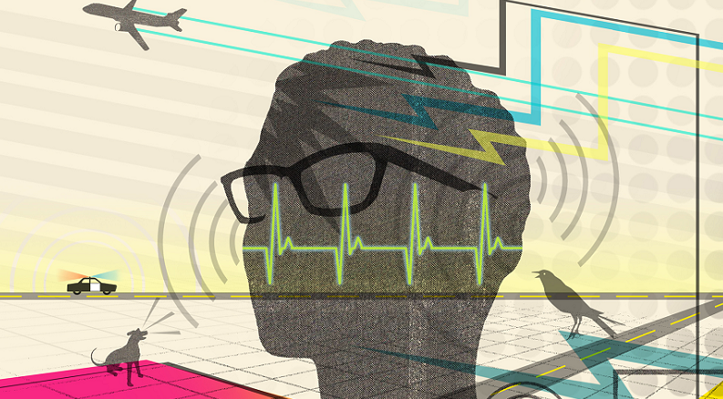 brain sensitivity to noise