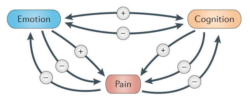 chronic pain cognitive impact