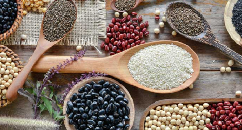 dietary lectins and the brain