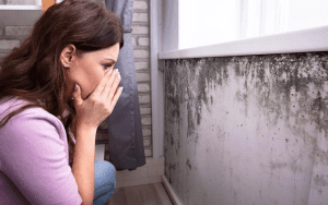 household mold cognitive health issues