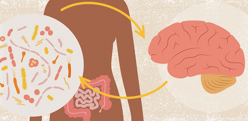 microbiome cognitive health