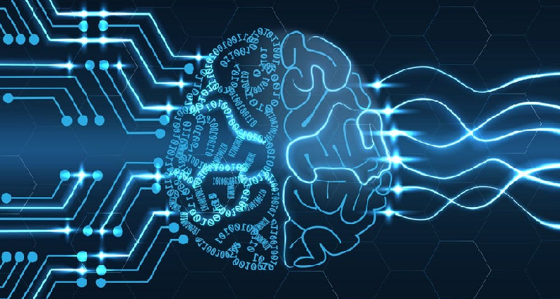 neural backpropagation learning