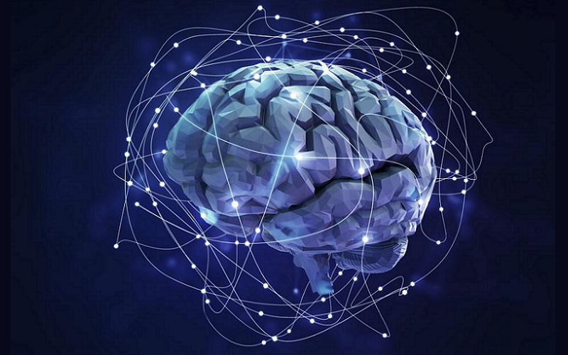 neural backpropagation neurons refine output