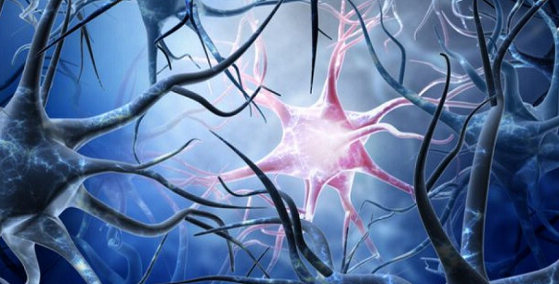 neurological disorders unhealthy neurons