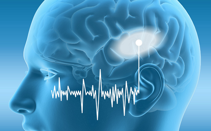 roles of the auditory cortex beyond hearing