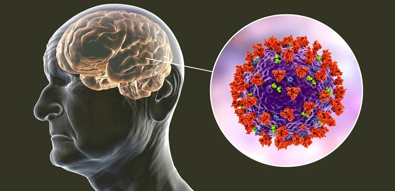 viral infections cognition mechanism