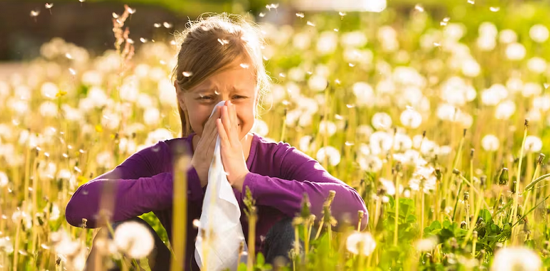 allergies and memory studies