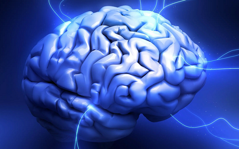 brain energy connection fuel cognition