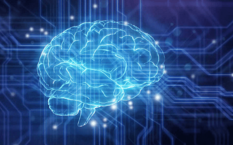 Intriguing Insights into the Choroid Plexus and Cerebrospinal Fluid ...