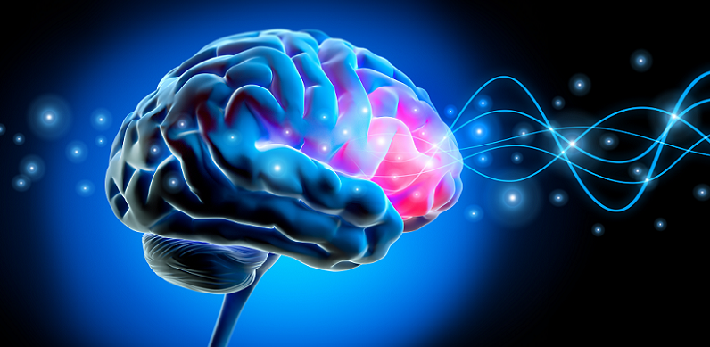 cortistatin neural mechanisms