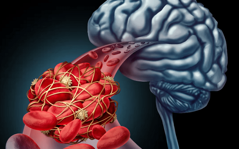 endothelin vascular regulators cognition