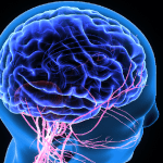lymphatic system role brain health