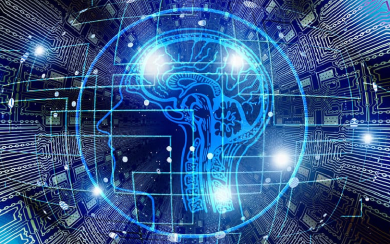 n-acetyl l-tyrosine nalt cognition