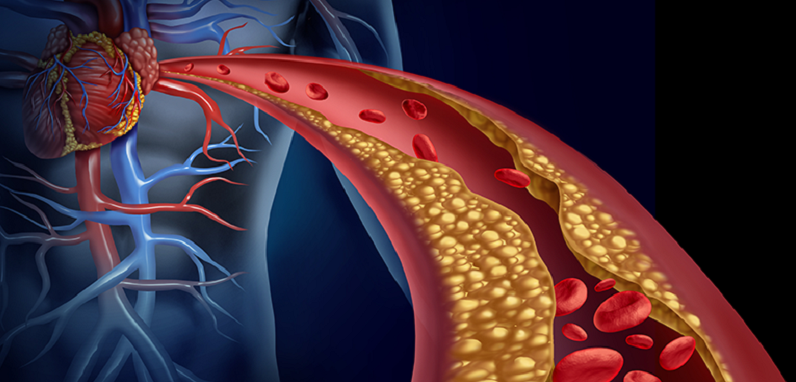 neuron blood vessel relationship