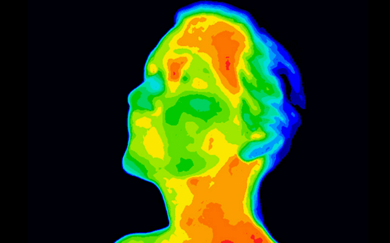 temperature regulation impacts decisions