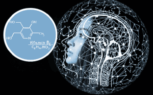 vitamin b6 neurotransmitters neuroprotection