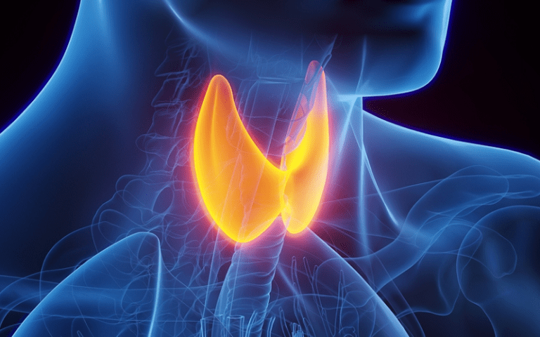 calcitonin neuroprotection memory