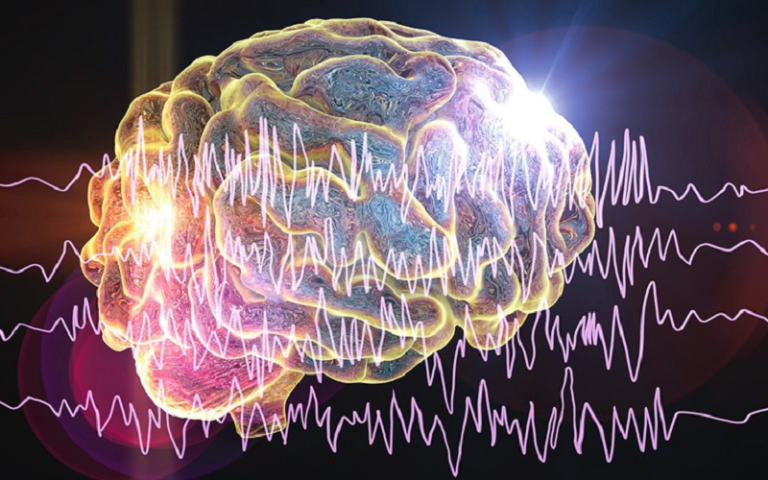 citicoline regulates mood mental health