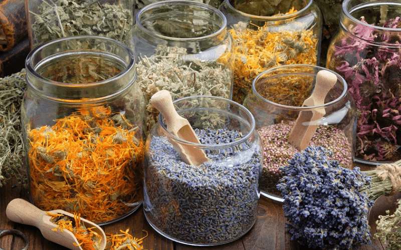 cognitive decline global herbal remedies