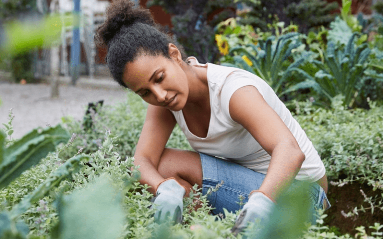 cognitive health benefits gardening