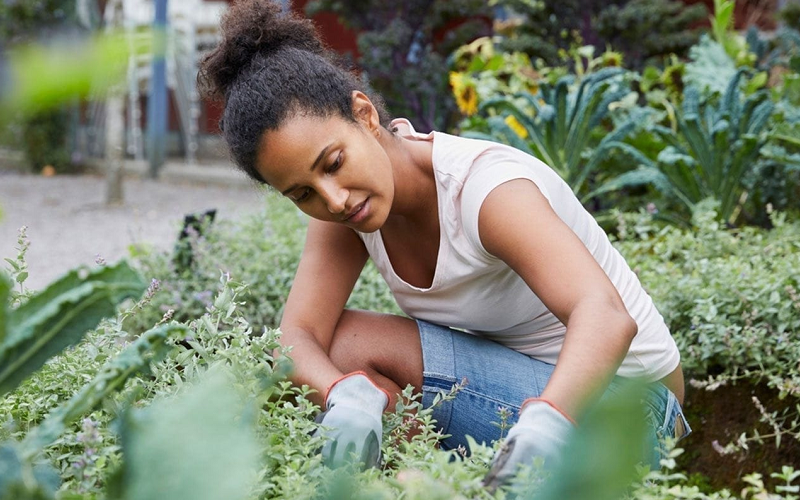 cognitive health benefits gardening