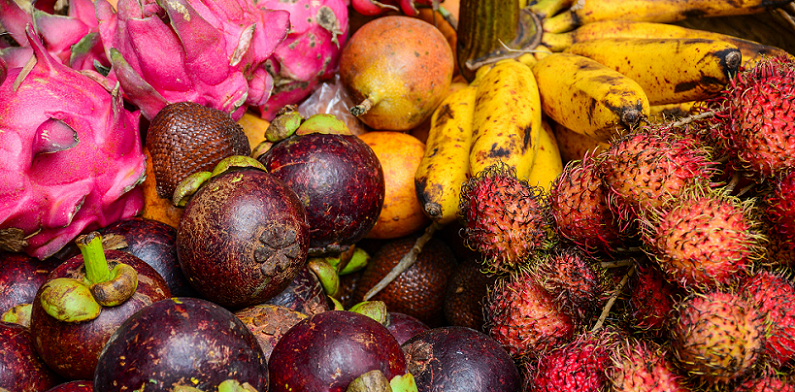 exotic fruits cognition