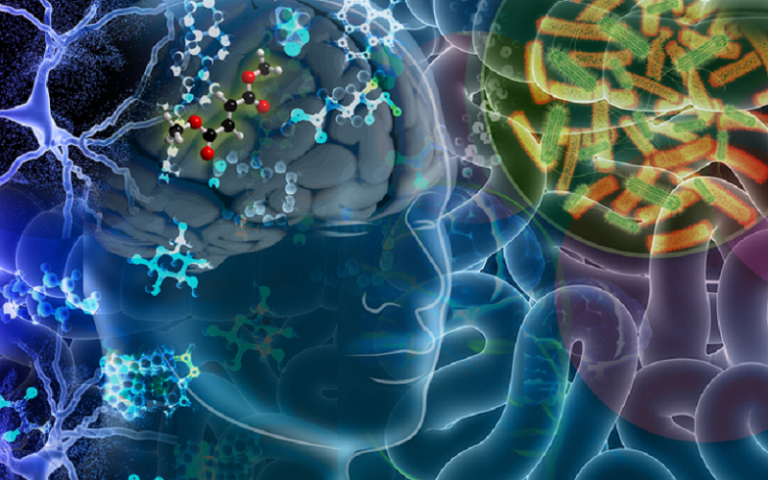 galantide gastric memory processes