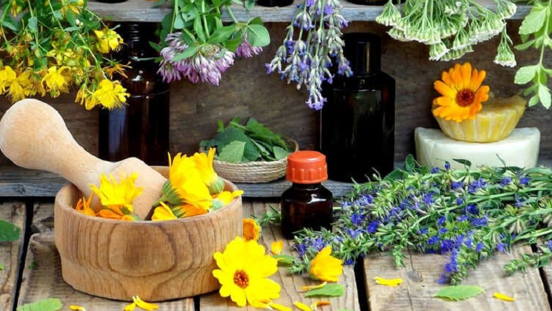 herbal remedies evidence