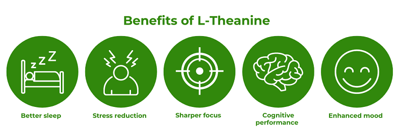 l-theanine for attention span