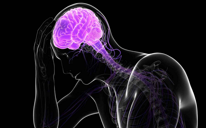 long-term stress effects memory brain
