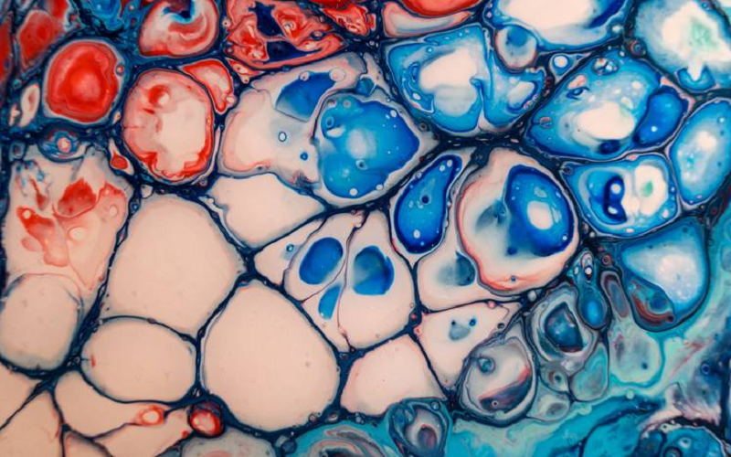 microscopic art influences neural patterns